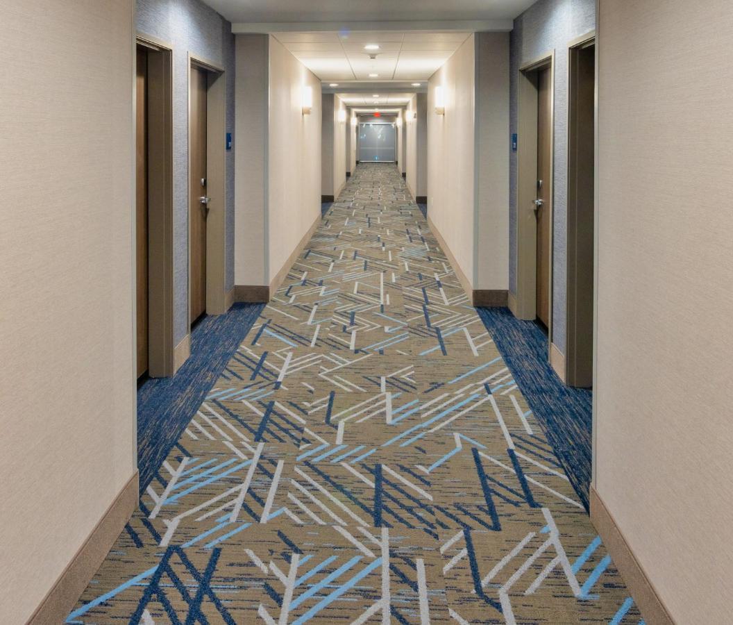 Holiday Inn Express & Suites - Harrisonburg University Area By Ihg Eksteriør billede